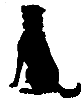 library dog