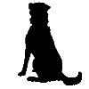 library dog