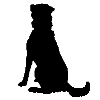 library dog